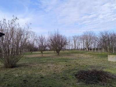 Eladó családi ház - Tiszaföldvár (Tiszaföldvár) / 19. kép