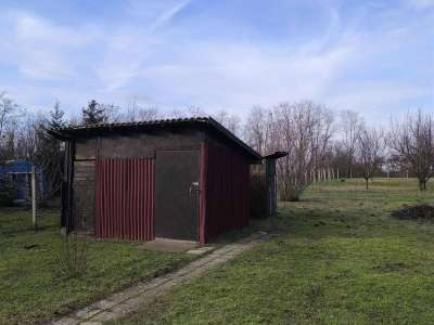 Eladó családi ház - Tiszaföldvár (Tiszaföldvár) / 20. kép