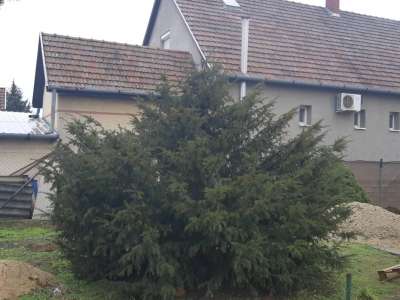 Eladó családi ház - Abony / 4. kép