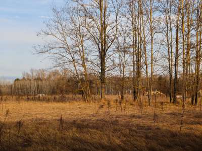 Eladó építési telek - Tápiószentmárton / 7. kép