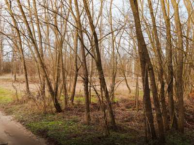 Eladó építési telek - Tápiószentmárton / 5. kép