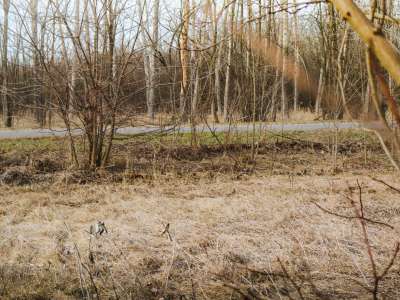 Eladó építési telek - Tápiószentmárton / 4. kép