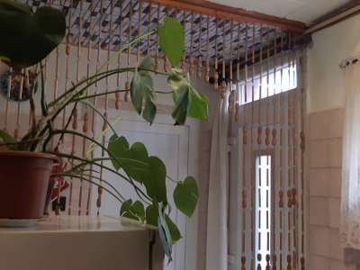 Eladó nyaraló - Tiszaföldvár / 3. kép