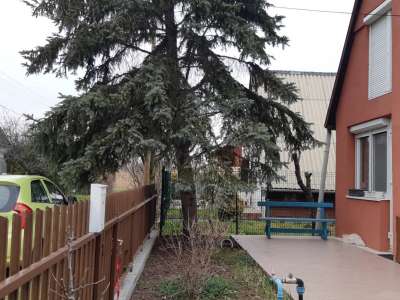 Eladó nyaraló - Tiszaföldvár / 11. kép