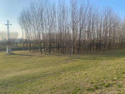 Eladó téglalakás - Szolnok (Tallinn) / 14. kép