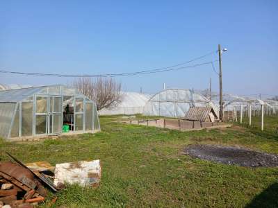 Eladó családi ház - Tiszaföldvár / 13. kép