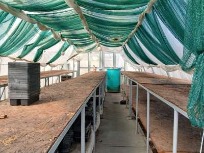 Eladó családi ház - Tiszaföldvár / 15. kép