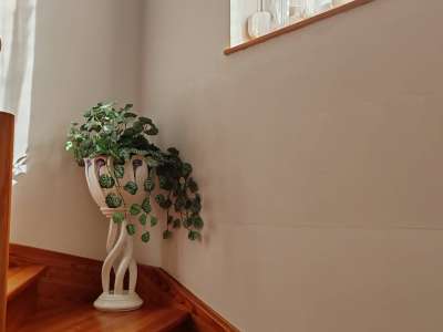 Eladó családi ház - Szolnok (Szandaszőlős) / 22. kép