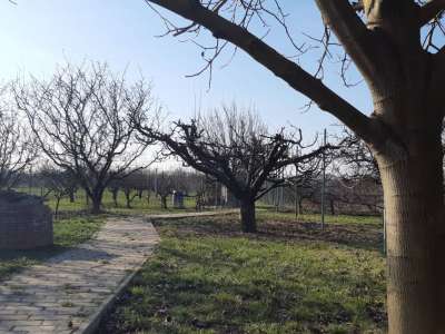 Eladó családi ház - Szolnok (Szandaszőlős) / 30. kép