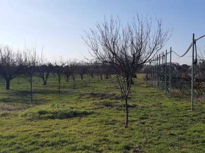 Eladó családi ház - Szolnok (Szandaszőlős) / 31. kép