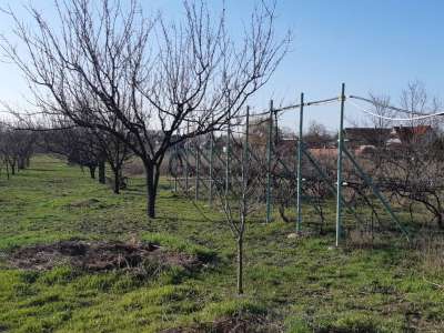 Eladó családi ház - Szolnok (Szandaszőlős) / 32. kép