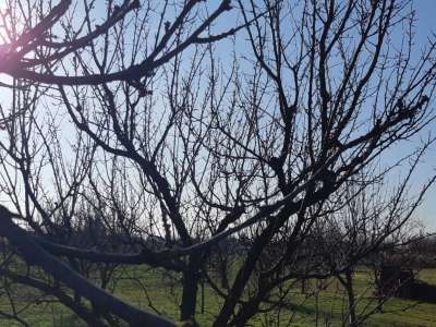 Eladó családi ház - Szolnok (Szandaszőlős) / 34. kép