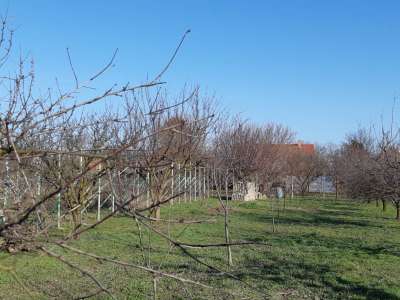 Eladó családi ház - Szolnok (Szandaszőlős) / 35. kép