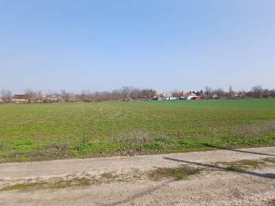 Eladó építési telek - Tiszaföldvár / 1. kép
