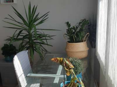 Eladó családi ház - Martfű / 8. kép