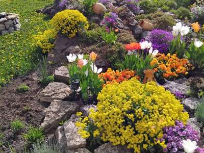 Eladó családi ház - Martfű / 12. kép