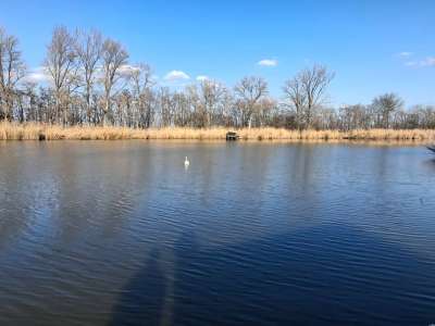 Eladó nyaraló - Szajol / 24. kép