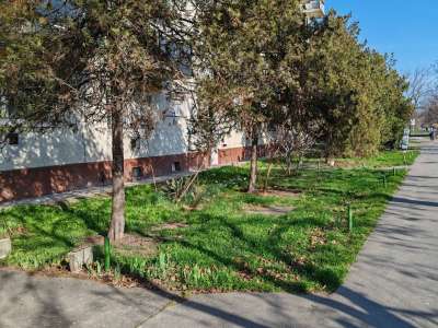 Eladó téglalakás - Szolnok (Belváros) / 20. kép