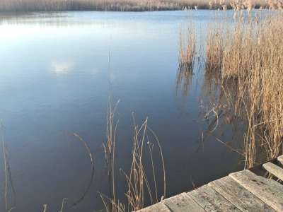 Eladó szálloda, panzió, üdülő - Tiszapüspöki / 33. kép