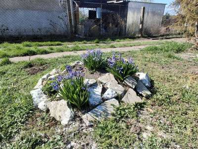 Eladó családi ház - Újszász / 21. kép