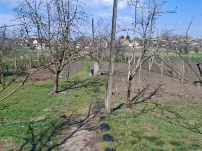 Eladó családi ház - Újszász / 16. kép