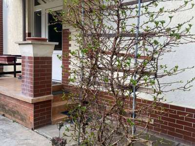 Eladó családi ház - Szolnok (Szandaszőlős) / 28. kép