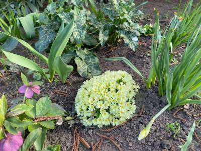 Eladó családi ház - Szolnok (Szandaszőlős) / 32. kép