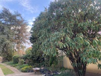 Eladó családi ház - Szolnok (Szandaszőlős) / 29. kép