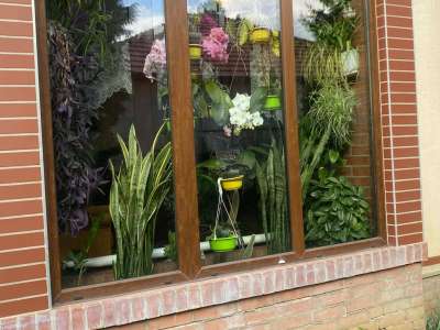 Eladó családi ház - Szolnok (Szandaszőlős) / 27. kép