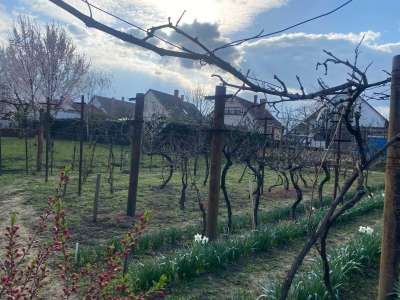 Eladó családi ház - Szolnok (Szandaszőlős) / 31. kép