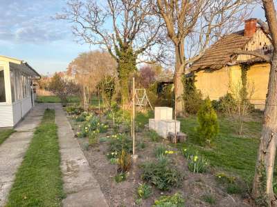 Eladó családi ház - Újszász (Újszász) / 12. kép