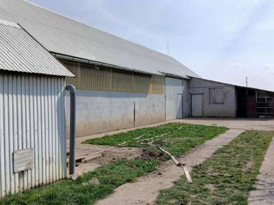 Eladó családi ház - Kétpó / 29. kép