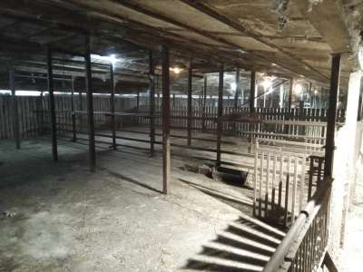 Eladó családi ház - Kétpó / 30. kép