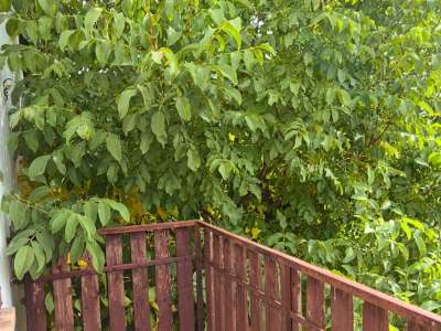 Eladó családi ház - Szolnok (Szandaszőlős) / 8. kép