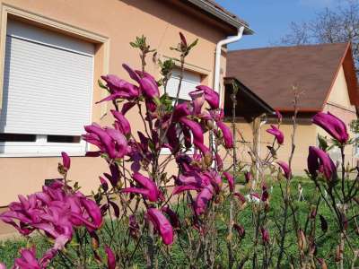 Eladó családi ház - Martfű (Ófalu) / 16. kép