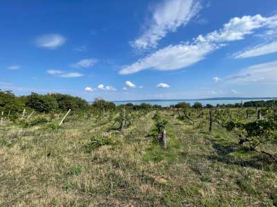 Eladó építési telek - Balatonszepezd / 4. kép