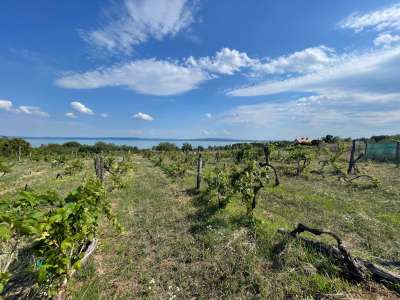 Eladó építési telek - Balatonszepezd / 5. kép