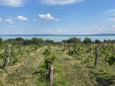 Eladó építési telek - Balatonszepezd / 7. kép