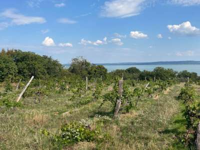 Eladó építési telek - Balatonszepezd / 25. kép