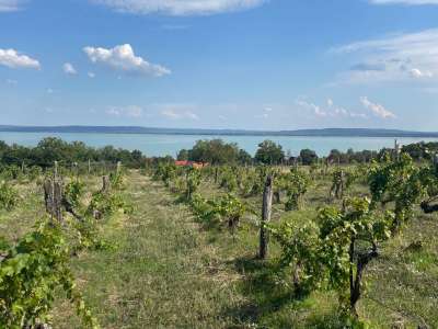 Eladó építési telek - Balatonszepezd / 8. kép