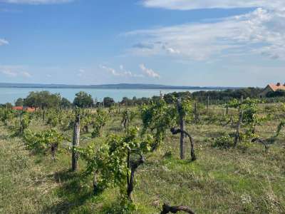 Eladó építési telek - Balatonszepezd / 9. kép