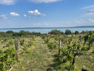 Eladó építési telek - Balatonszepezd / 10. kép