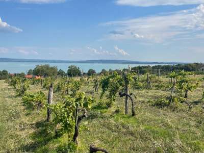 Eladó építési telek - Balatonszepezd / 11. kép