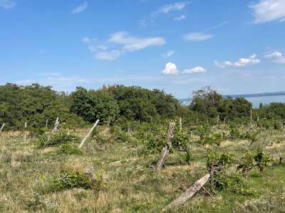 Eladó építési telek - Balatonszepezd / 12. kép