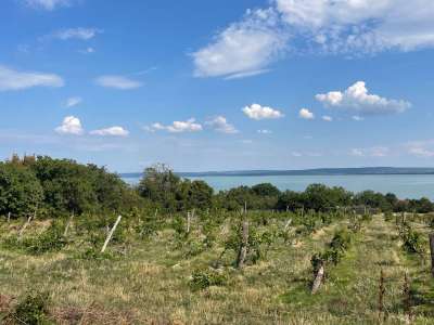 Eladó építési telek - Balatonszepezd / 14. kép