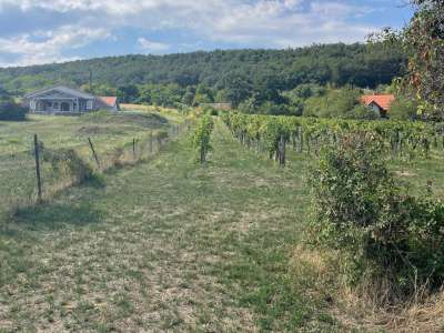 Eladó építési telek - Balatonszepezd / 16. kép