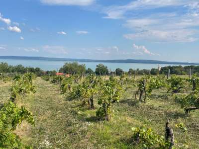 Eladó építési telek - Balatonszepezd / 17. kép