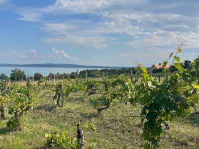 Eladó építési telek - Balatonszepezd / 18. kép