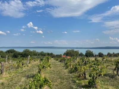 Eladó építési telek - Balatonszepezd / 3. kép