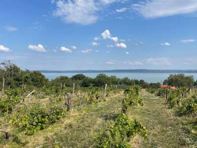 Eladó építési telek - Balatonszepezd / 1. kép